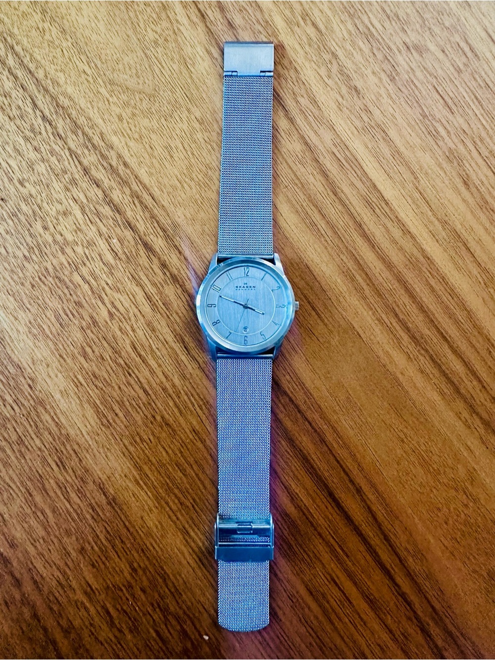 Skagen Silver Mesh Strap Minimalist Stainless Steel Watch